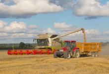 Harvesting Wheat DMOO53