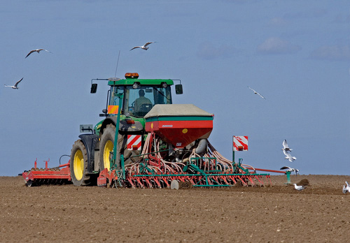 Seed Drilling