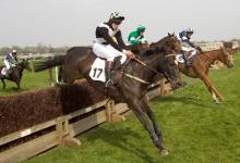 Point to Point 3 DM0211