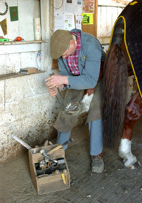 Horse Shoeing DM1391
