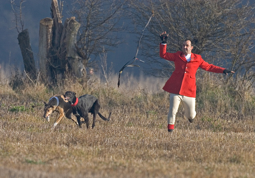 Hare Coursing