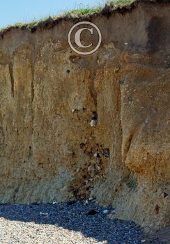 Coastal erosion  Weybourne Norfolk DM2142
