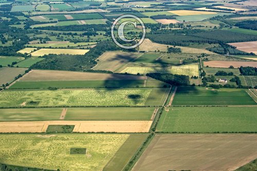 Drought effect on Breckland  Farmland  DM2165