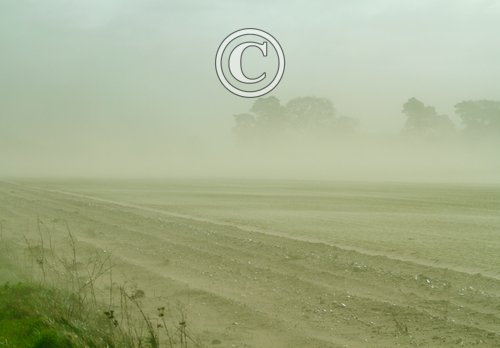Wind erosion Beckland  Norfolk DM2164