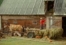 Poland Hay Barn DM0308 TIF