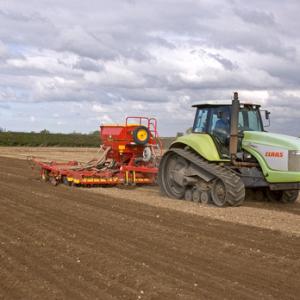 AUTUMN CORN DRILLING 2