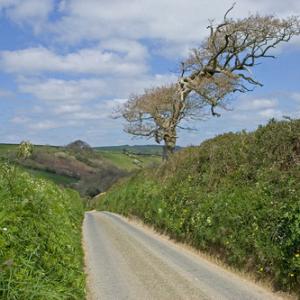 Cornish Lane DM0146