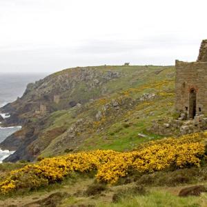 North Cornwall 3 DM0145